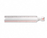 2X Magna-Rule Bar Magnifier/Ruler w/Acrylic Lens, 10