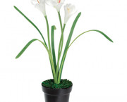 Artificial White Iris in a Black Ceramic Pot, 14