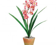 Artificial Pink Cymbidiums in a Terra Cotta Pot, 21