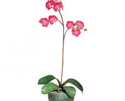 Artificial Fuchsia Orchids in a Green/Brown Ceramic Pot, 25
