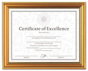 Antique Colored Document Frame w/Certificate, Metal, 8-1/2 x 11, Gold