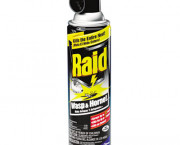 Wasp & Hornet Killer, 14-oz. Aerosol Can