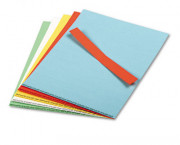 Data Cards for Magnetic Card Holders, Assorted Colors, 10 8-1/2 x 11 Sheets/Pack