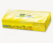 100% Premium Recycled Facial Tissue, 100/Box, 30 Boxes/Carton