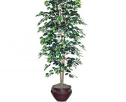 Artificial Ficus Tree, 6-ft. Overall Height