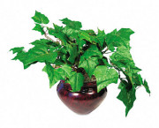 Artificial Ivy Plant in a Mahogany Fiberglass Pot, 8