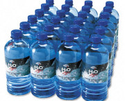 Bottled Spring Water, 20 oz., 24 Bottles/Carton