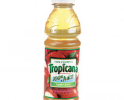100% Juice, Apple, 10 oz Plastic Bottle, 24/Carton
