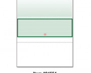 DocuGard Advanced Security Check, Middle Check, 8-1/2 x 11, Forest Green, 500/RM