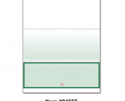 DocuGard Advanced Security Check, Bottom Check, 8-1/2 x 11, Forest Green, 500/RM