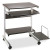 Eastwinds Portrait Mobile PC Workstation, 36